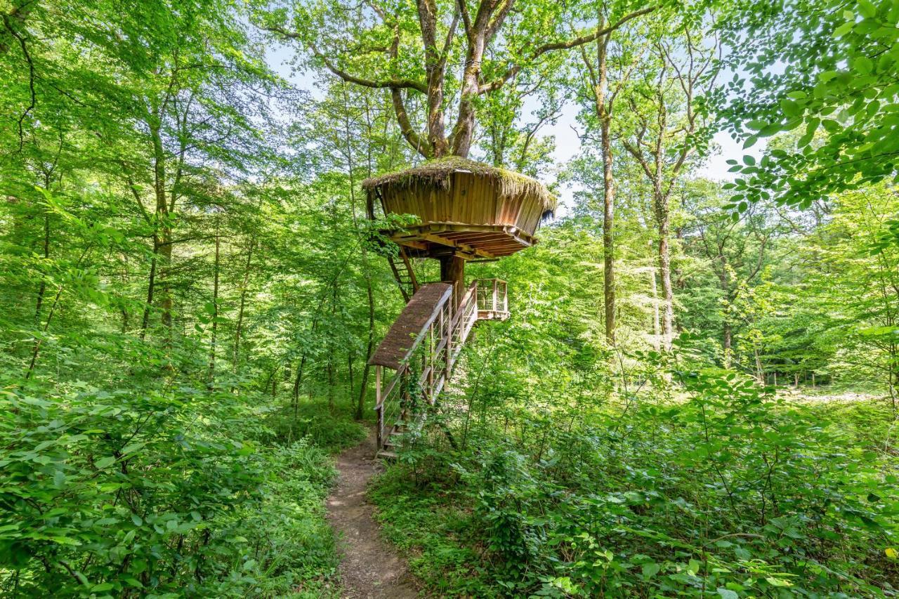 L'Arbre à Cabane Guyonvelle Exterior foto