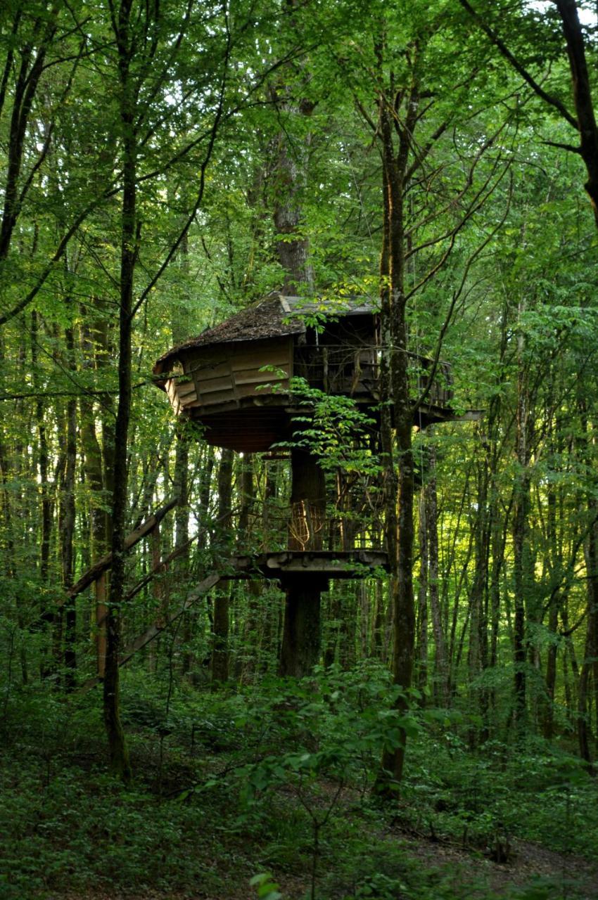 L'Arbre à Cabane Guyonvelle Exterior foto