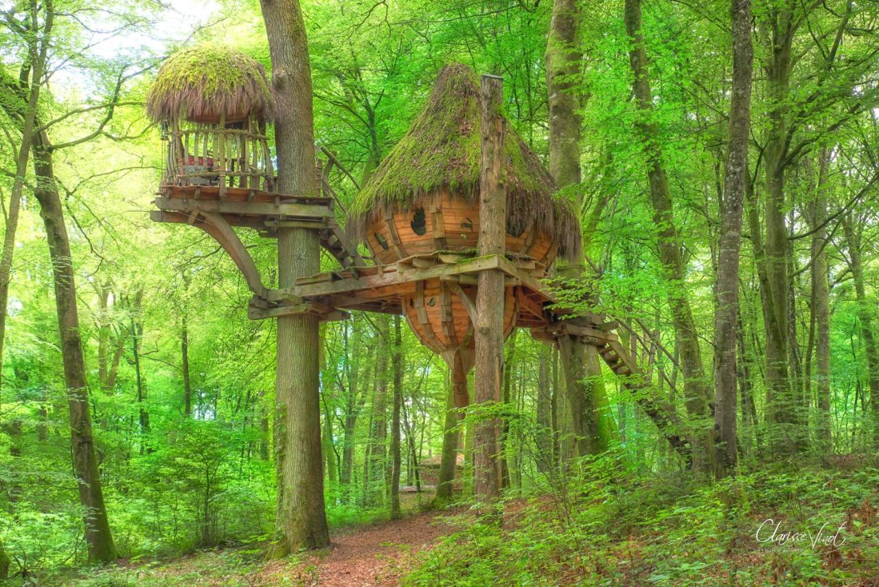 L'Arbre à Cabane Guyonvelle Exterior foto